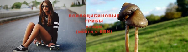 марки lsd Переславль-Залесский