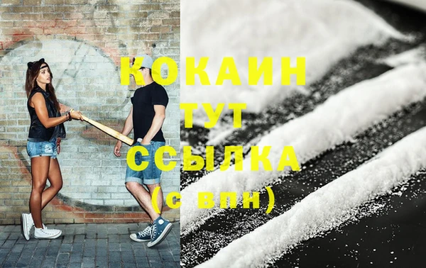 сатива Пересвет