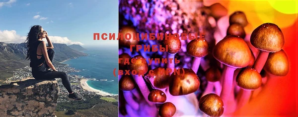 марки lsd Переславль-Залесский