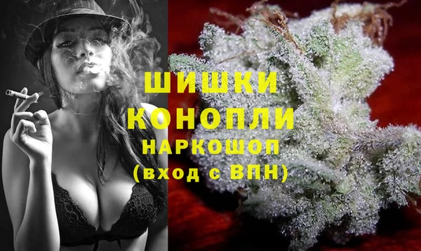 сатива Пересвет