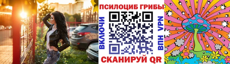 Купить закладки  Торопец  Псилоцибиновые грибы Psilocybine cubensis 